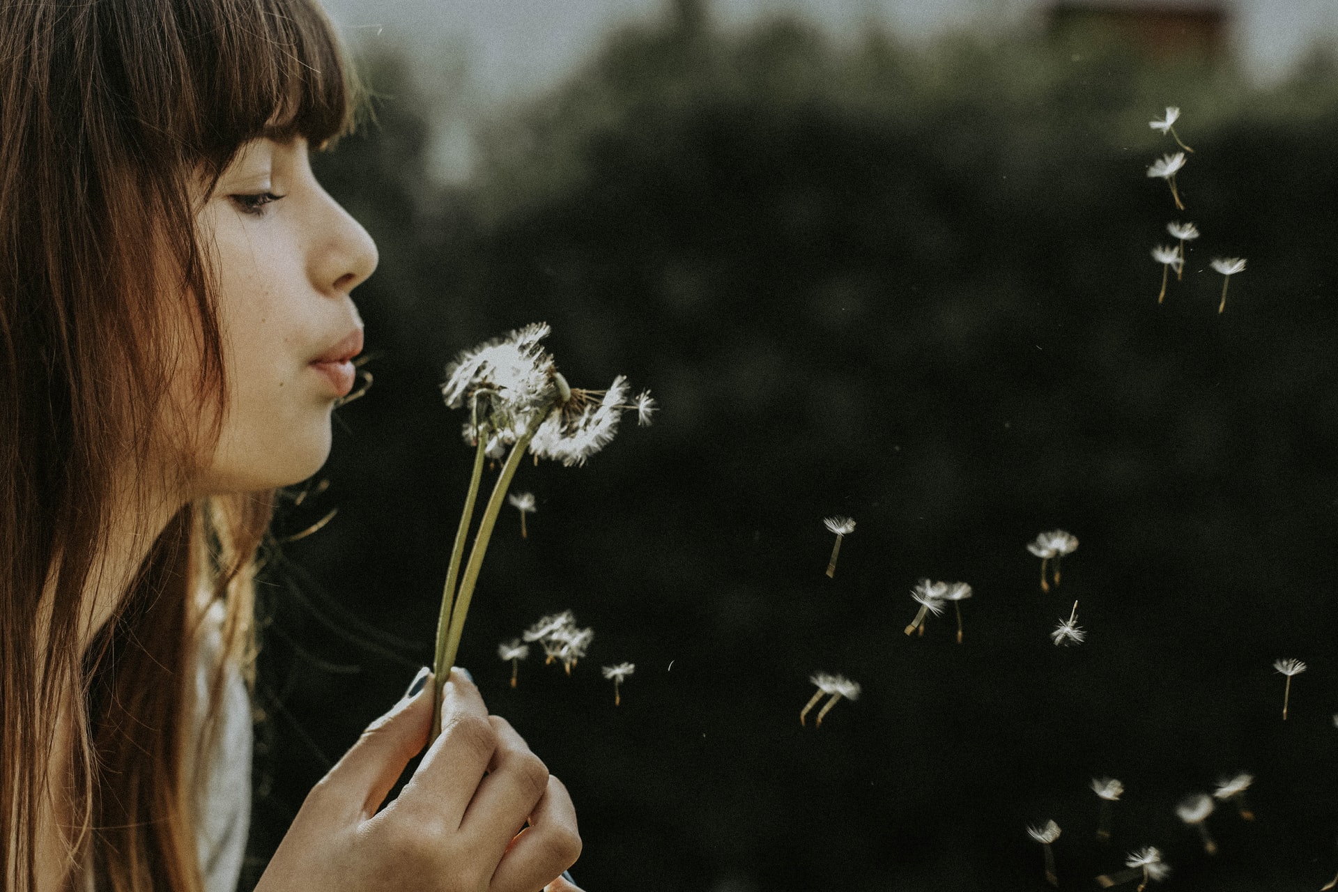 Photo by: Nine Köpfer on Unsplash