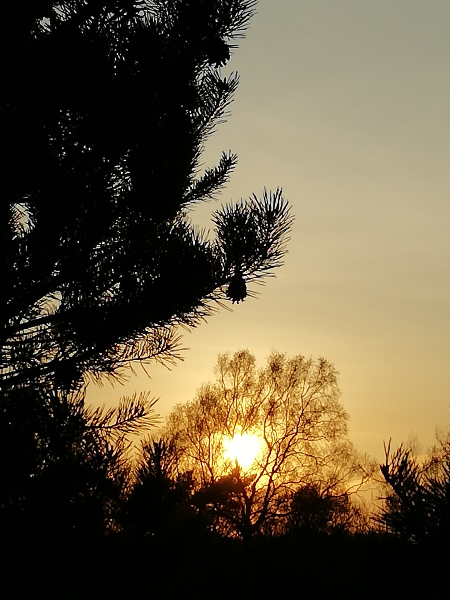 Photo by: Berkecz Mariann